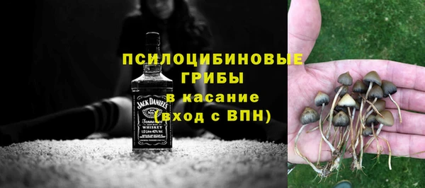 стаф Алексин