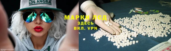 стаф Алексин