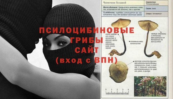 мет Абаза
