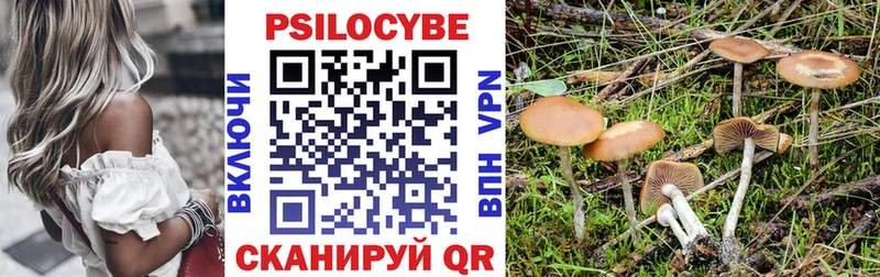 наркотики  Новое Девяткино  Псилоцибиновые грибы ЛСД 